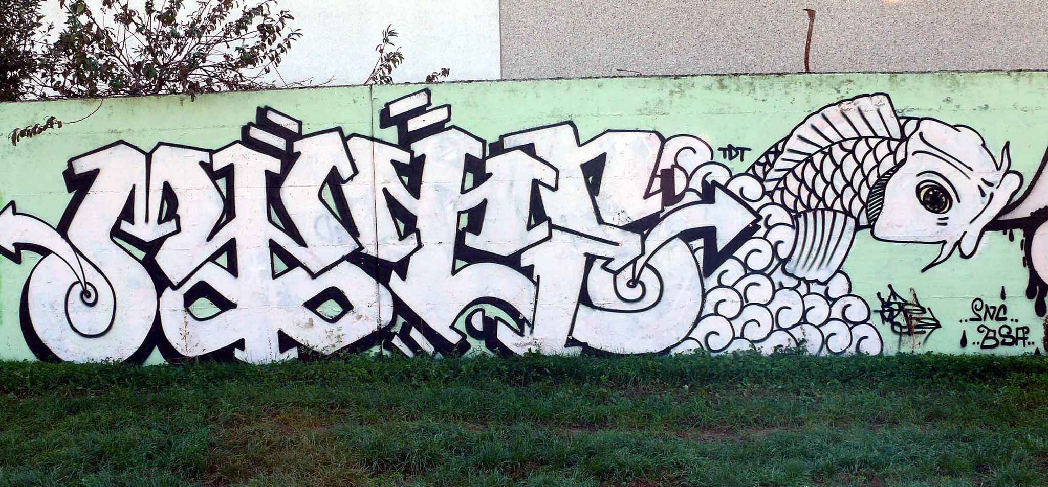 BIG MYTE